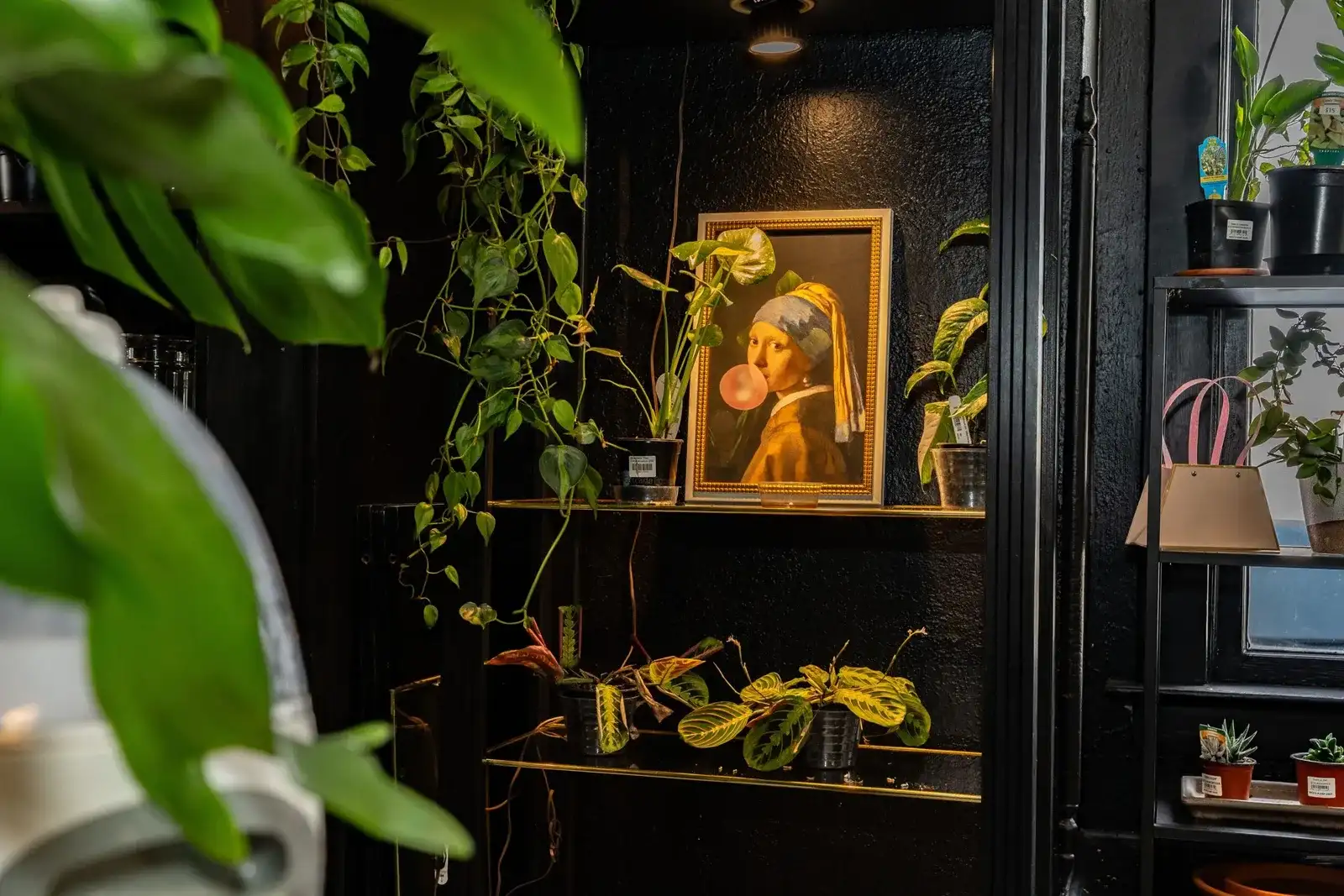 A dark corner of the shop: trailing plants on black shelves around a Girl with a Pearl Earring print