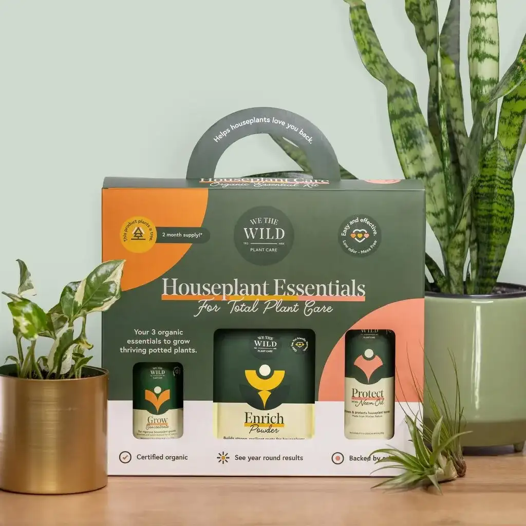 A houseplant essentials kit of plant food bottles