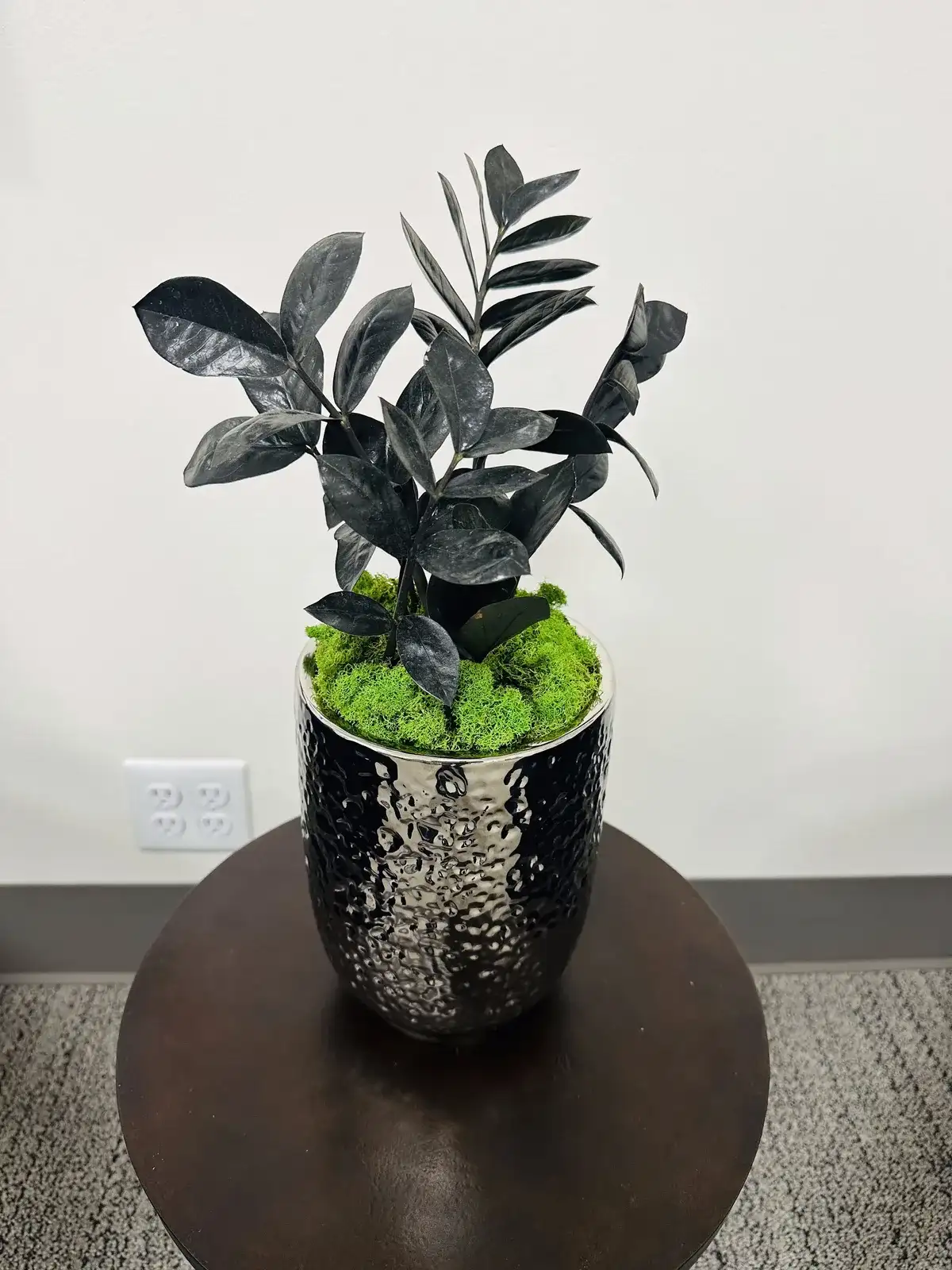A dark ZZ plant in a silver pot on a side table