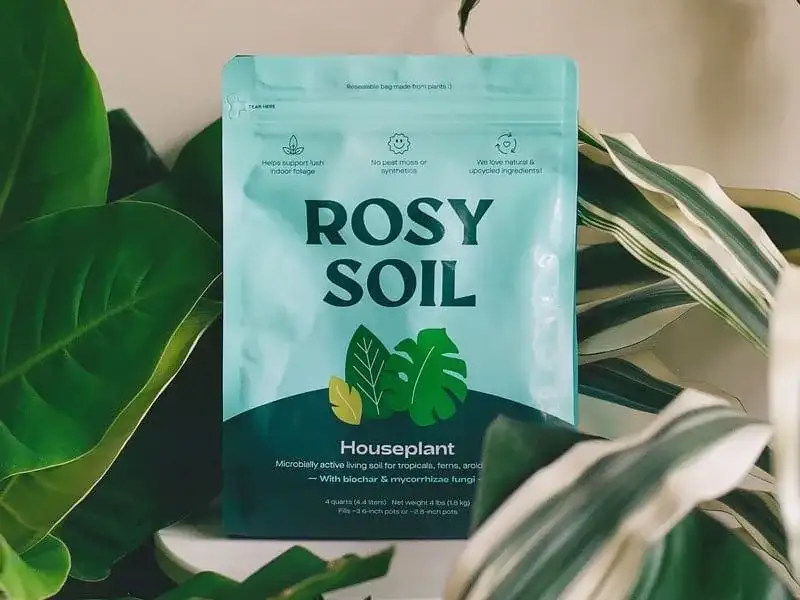 A bag of Rosy Soil houseplant mix among leaves
